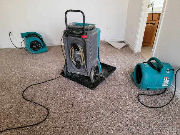 Best Flood restoration services  in Louisburg, KS