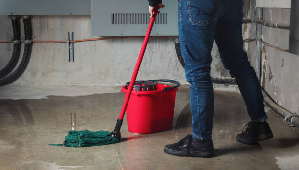 Best Water damage restoration company  in Louisburg, KS