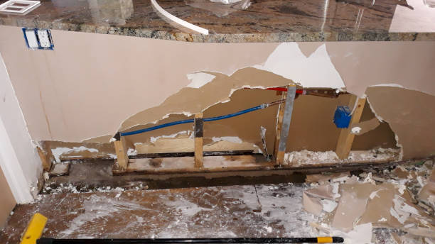 Best Residential water damage restoration  in Louisburg, KS