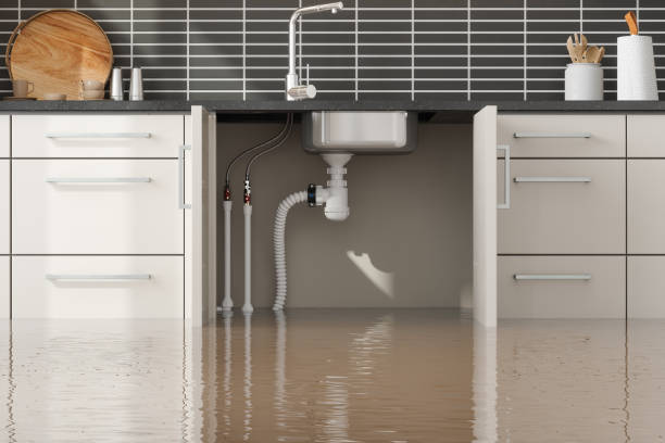  Louisburg, KS Water damage restoration Pros